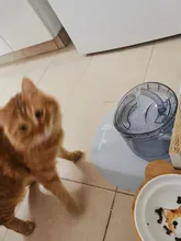 REPLACEMENT-FILTERS Fountain ACTIVATED-CARBON-FILTER Cat-Water Pet Automatic WF050/WF060