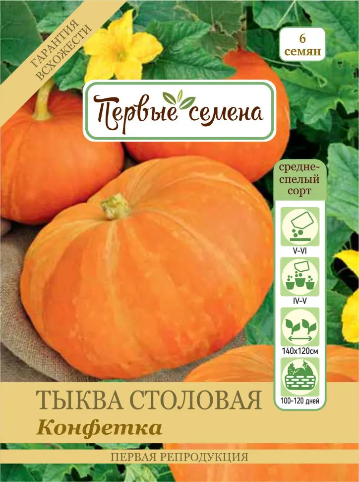 Тыква Конфетка столовая (Первые семена) | Дом и сад