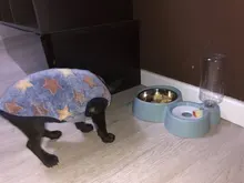 Clothing Puppy-Vest Dog-Coat Pet-Cat-Clothes French-Bulldog Small Dogs Chihuahua Winter