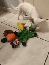 Dog-Toys Pets-Accessories Puppy Animals-Shape Plush Small Dogs Squeaker Ropes for 