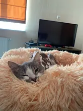 Puppy-Cushion-Mat Kennel Sleeping-Bag Dog-House Portable Pet-Bed Cat-Supplies Round Warm