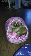 Cat Bed Nest Kennel Dog-Beds Cat-House Princess-Bed Dogs Washable Small Warm for Pet-Dog