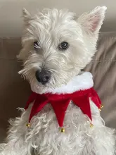 Grooming-Accessories Towel Scarf Necklace Collars Decor Cat Dogs Saliva Adjustable Plush