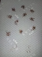 Ganchos de los pendientes, accesorios de aleación para fabricación de joyas, pendientes de gancho con forma de gota, 17x20mm, 100 Uds.