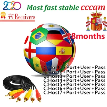 

Hot sale Cccam cline for 1year Europe Cccam Spain Portugal Poland Germany 7lines For 6months 18months stable Satellite Receiver