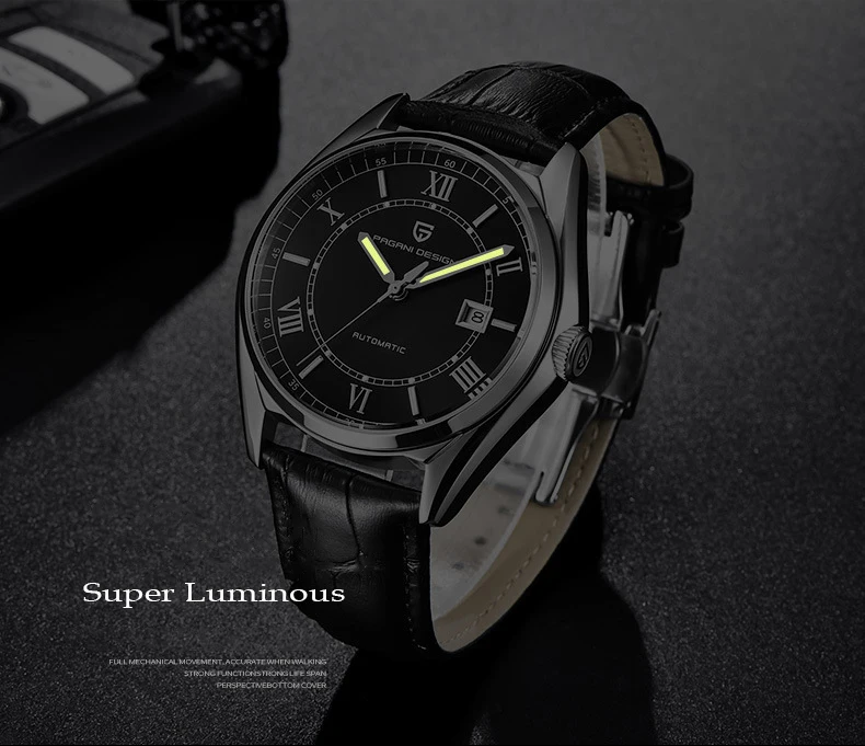 mechanical watches for men PAGANI DESIGN Automatic Date Perspective Case Back Luminous Men's Mechanical Watch PD-1634 diver automatic watch