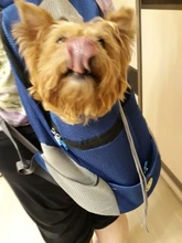 Al aire libre viajes de mascotas de doble bolsa de hombro portátil de viaje mochila al aire libre bolsa de transporte perro mascota frente perro bolsa de malla de mochila de la cabeza
