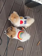 Costume Puppy-Clothes Love-Rainbow-Vest PETCIRCLE Pet-Cat Dog Winter New Fit And Four-Color