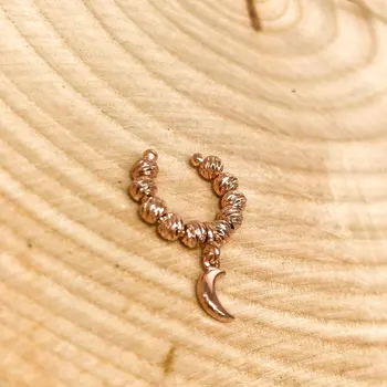 

Silver New Dorika Crescent Cartilage Ear Tags
