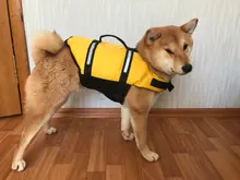 Chaleco Salvavidas para perro, chaqueta Salvavidas para mascota, ropa de seguridad, traje de baño para mascotas, Chaleco de seguridad para verano