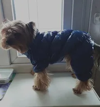 Ropa de abrigo para Perros Bulldog Francés, Ropa de cachorro, Chihuahua, yorkie, abrigo de perrito mascota, chaqueta, perros, mascotas