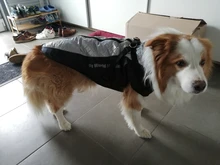 Pet-Dog-Clothes Clothing Walking-Harness Dogs Outdoor Waterproof Large Winter Medium