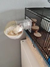 Cage-Box Toilet-Hamster Acrylic-House Sand-Room Bath Mouse-Gerbille Small Pet-Supplies