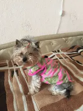 Puppy Outfit Vest Coat Dog-Jacket Pets Padded-Chihuahua Apparel-20 Small-Dogs Warm Winter