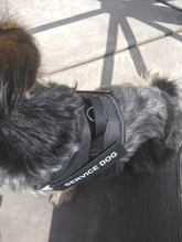 Arnés de nailon ajustable para perro, Collar reflectivo para perro, conjunto de arnés y correa para perros, chaleco de identificación, parche personalizado para caminar