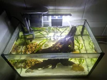 Lighting Aquarium-Lamp Fish-Tank-Light LED High-Brightness Super-Slim Ultra-Thin