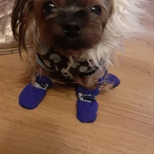 Zapatos cálidos antideslizantes para perros, botas gruesas antideslizantes para perros pequeños, gatos, Chihuahua, Yorkie, para nieve, calcetines, 4 Uds.