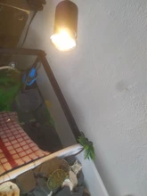 Conjunto de lámpara para reptiles UVA + UVB 3,0, con soporte de bombilla con Clip y termómetro, higrómetro, Tortuga, Kit de lámpara de calentamiento de base