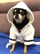 Bathrob Pet-Accessories Drying-Towel Dogs Puppy Soft Cat for Dog-Pajamas Indoor