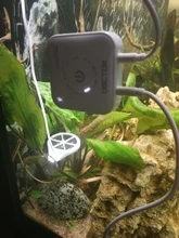 Cleaning-Tool-Accessories Algae-Remover Shrimp Twinstar Aquarium Chihiros Doctor Water-Fish-Tank