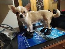 Dog-Shoes Socks Dogs Chihuahua Yorkie Snow Anti-Slip Small Winter Warm for Cats Thick