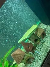 Oxygen-Pump-Accessories Aeration-Tube Air-Diffuser Bubble-Wall Aquarium Fish-Tank Pollution