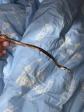 Pulsera de eslabones venecianos para hombre y mujer, brazalete de oro rosa de 20cm, cadena de eslabones venecianos Curb Snail Foxtail, regalo de moda CBB1, 585