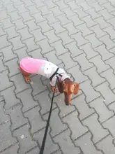 Dog Winter Sweater Pet-Dog Puppy-Cat Knitted Chihuahua for Small Clothing Ropa-Perro