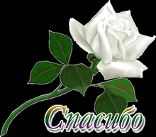 Women Summer Spring-Dress Vestidos A-Line Long-Sleeve Dot Print Midi Chiffon S.FLAVOR