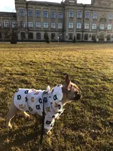 Clothing Bulldog-Clothes Corgi Raincoat Poodle Pug Bichon French Waterproof for Schnauzer