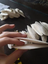 Cuttlefish Products Birds Tortoise Bone Chew-Toy Parrot Health-Care for Pet-Budgie Reptiles