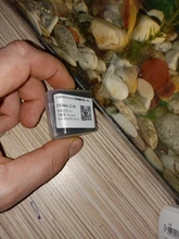 Flashlight Torches Lamp Replacement-Bulb LED Emergency-Work-Light 5W P13.5S High-Bright