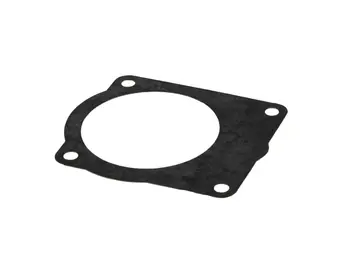 

Fuel pump gasket gp800-120066e244310000