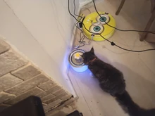 Dispensador de agua para mascotas, bebedero automático para gatos y perros, dispensador de agua eléctrico con USB, bebedero silencioso