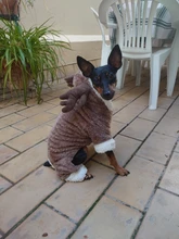 Pet-Dog-Clothes Jacket Puppy Coat Small Dogs Christmas Chihuahua Fleece Winter Warm Autumn