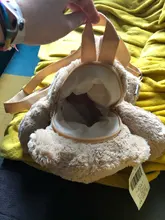 Mochila De felpa para mujer, nueva mochila de muñecos, bolsa informal con personalidad de oso de dibujos animados, B2305