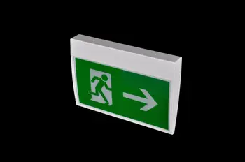 

Synergy 21 LED Signage LED Slim Via Evacuation with Au