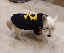 Dog-Jacket French Bulldog Adidog SUPREPET Pet-Dog for Stripe Pattern