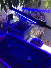Grow-Light Lamps Timer Flowers Desktop-Clip LED Phyto Full-Spectrum For Plants DC5V USB
