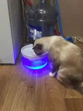 Fuente de agua potable inteligente para gatos, dispensador de agua circulante automático, novedad de 2021