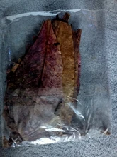 Betta Fish Shrimp Aquarium Almond-Leaves Natural Indian 10pcs Habitat Terminalia Kill-Bacteria