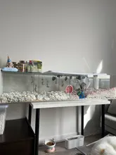 Rueda giratoria silenciosa para hámster, juguete para mascotas de 14cm de ancho, adecuado para ratones hámster y ratas, disco de Animal PEQUEÑO, 1 unidad