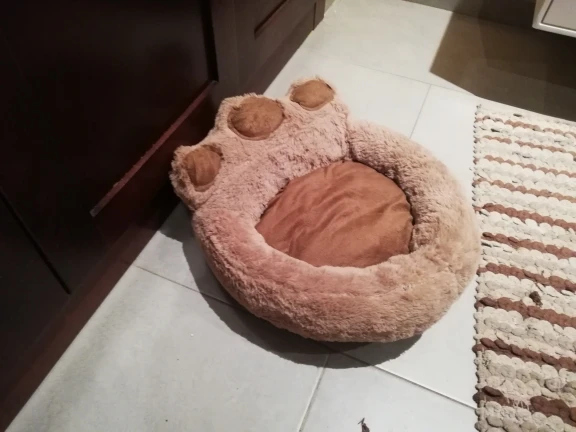 Customer photo