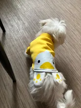 Shirt Costume Vest Cat Outfit Carton Cats Sweet Kitten Autumn/winter for Kedi-Clothing