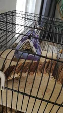 Hammock Cage House Hamster Hanging Parrot Small Nest Comfortable Cute Plush Warm Soft