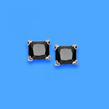

EARRINGS GOLD CLAW ESQ STONE 6X6MM