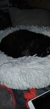 Cama de Gato supersuave, 14 colores, redonda, mullidas de gato, cesta para dormir, larga felpa, cálida, alfombrilla para mascotas, perrera ligera de tacto cómodo