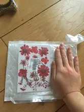 Pegatinas de flores naturales de resina UV para decoración de joyas, adhesivos de belleza seca para Resina epoxi DIY, 1 paquete