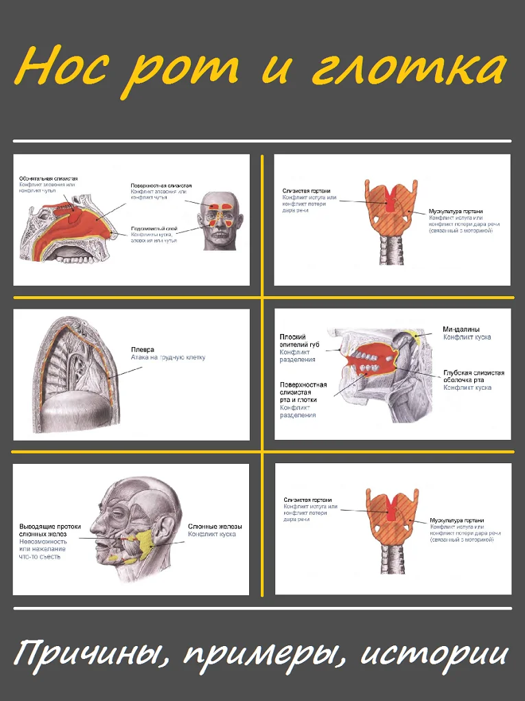 Книга Хаммера Новая Германская Медицина Купить
