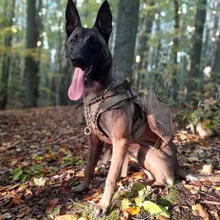 Vest Harnesses Pet-Training Dogs Military-Working Tactical Medium Nylon Durable for Large